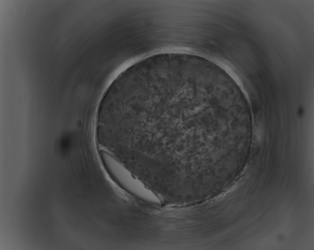 X0000097951245200804011627