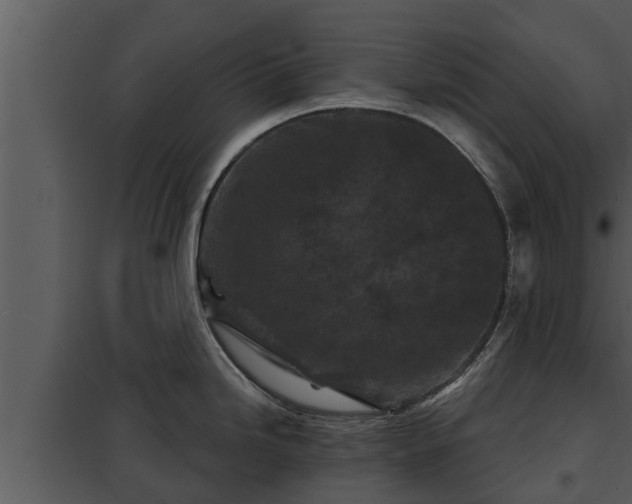 X0000097951246200804011627