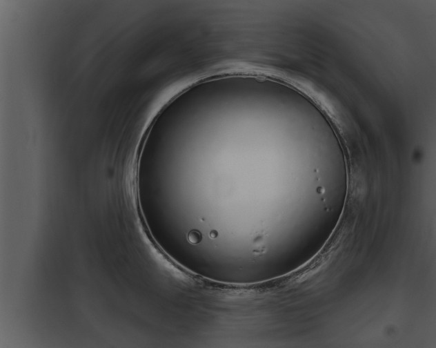 X0000097951247200804011627