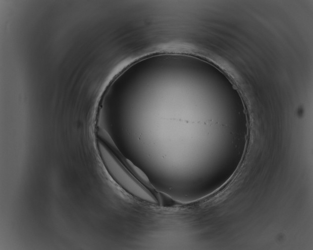 X0000097951248200804011627