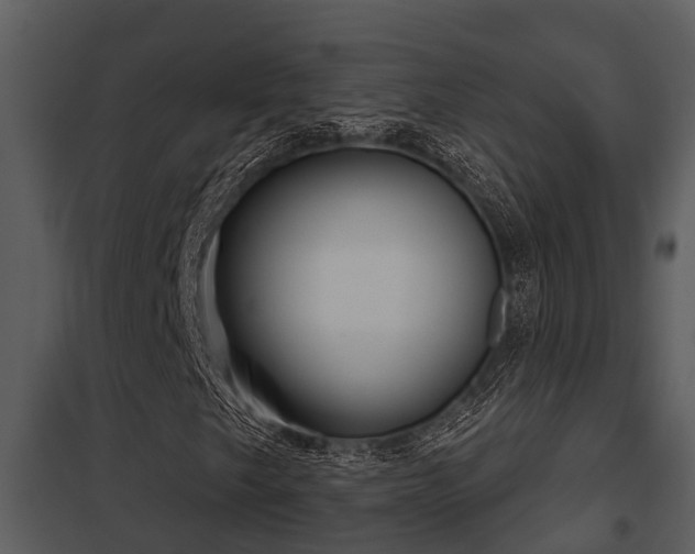 X0000097951249200804011626