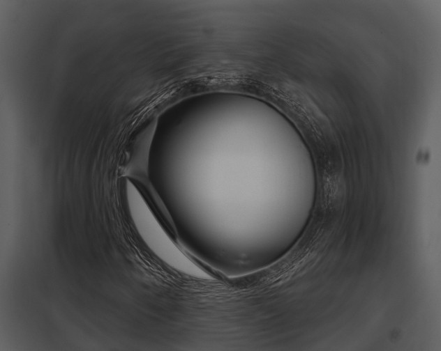 X0000097951250200804011626