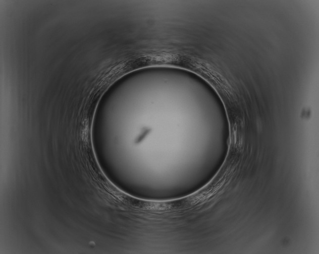 X0000097951251200804011626