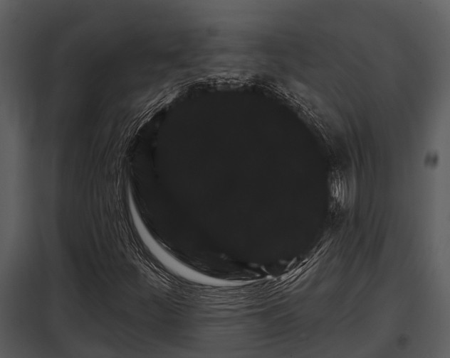 X0000097951252200804011626