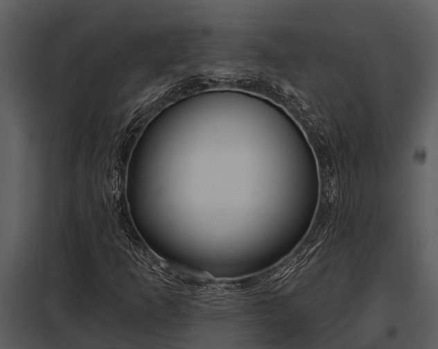 X0000097951253200804011626