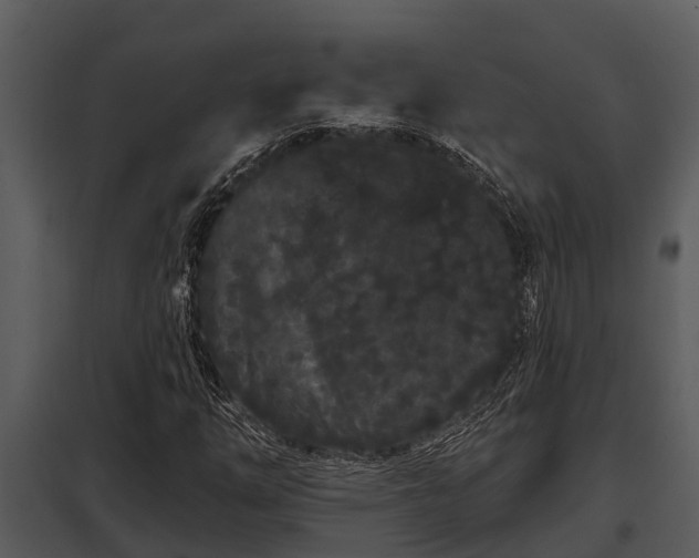 X0000097951254200804011626