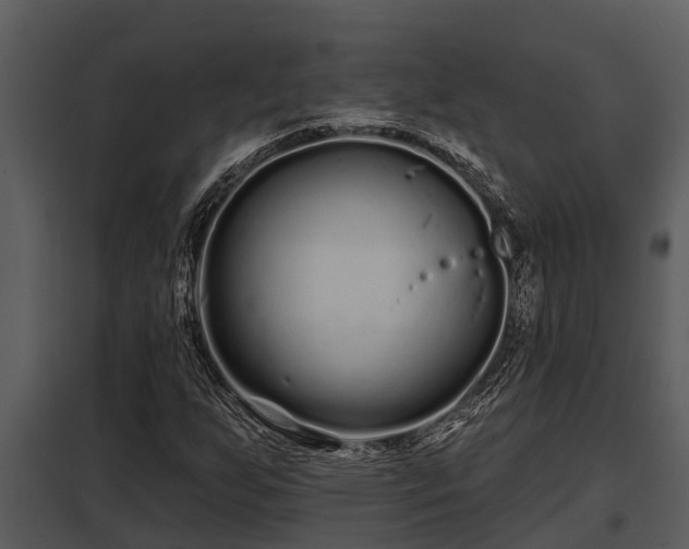 X0000097951255200804011626