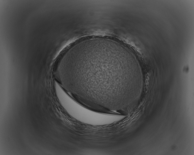 X0000097951256200804011626