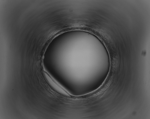 X0000097951257200804011626