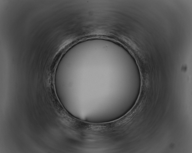 X0000097951258200804011626