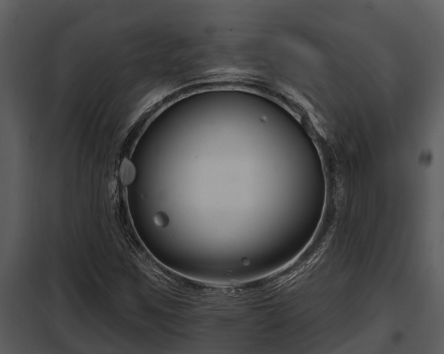 X0000097951259200804011626