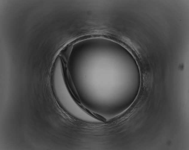 X0000097951260200804011626