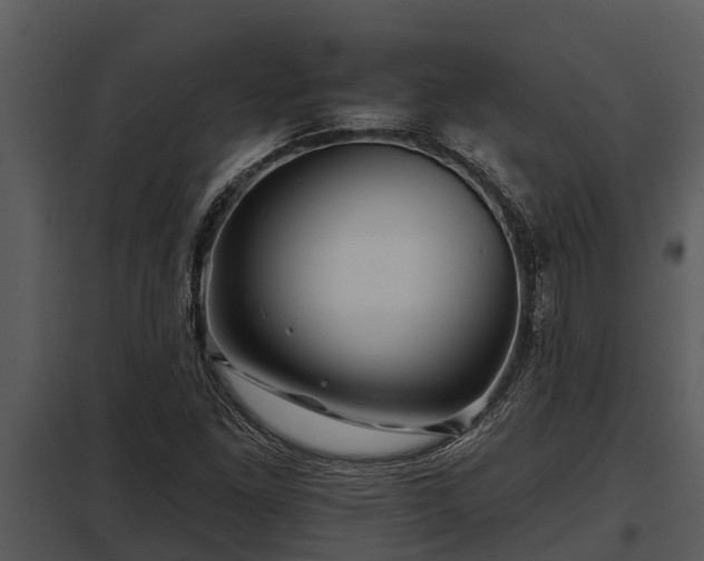 X0000097951261200804011626