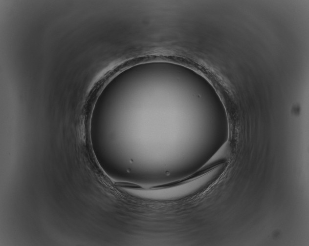 X0000097951262200804011626