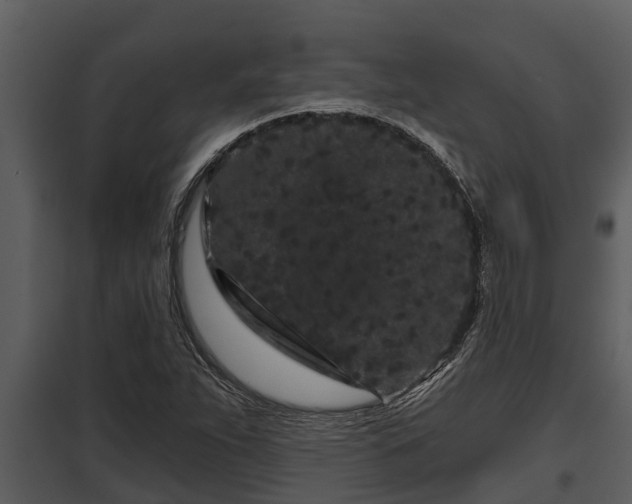 X0000097951263200804011626