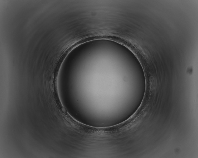 X0000097951265200804011626