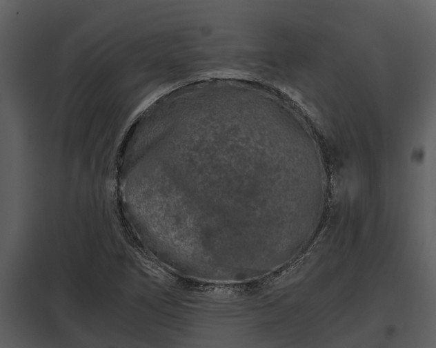 X0000097951266200804011626
