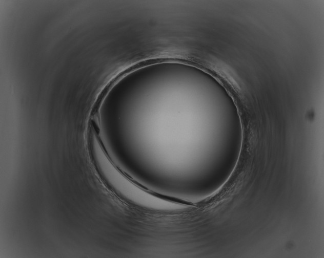 X0000097951268200804011626