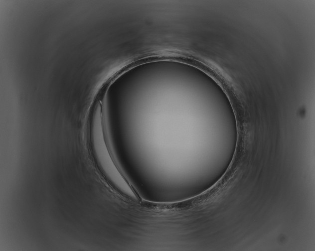 X0000097951269200804011626