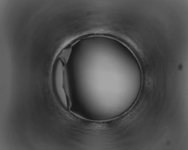 X0000097951270200804011626