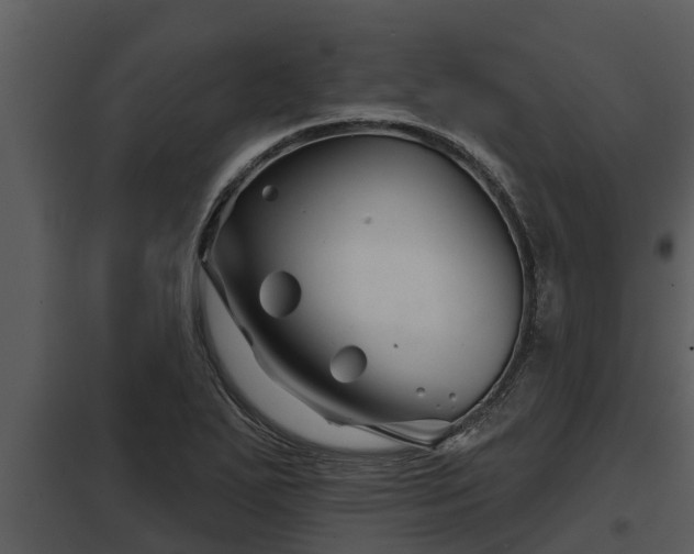 X0000097951271200804011626