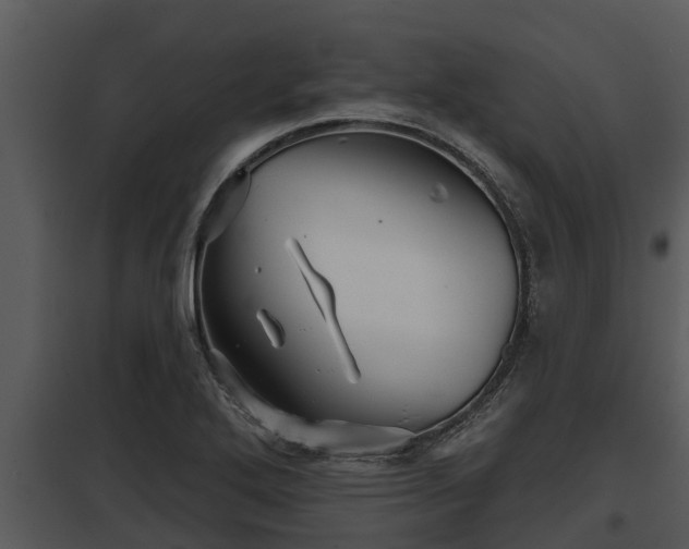 X0000097951272200804011626