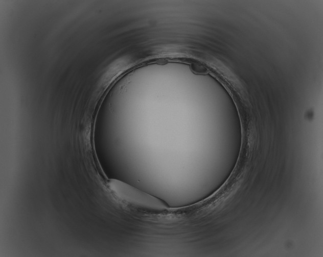 X0000097951273200804011626