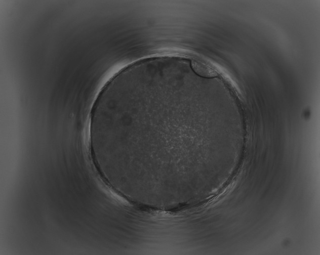 X0000097951275200804011626