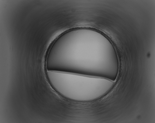 X0000097951277200804011626