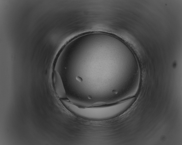 X0000097951280200804011626