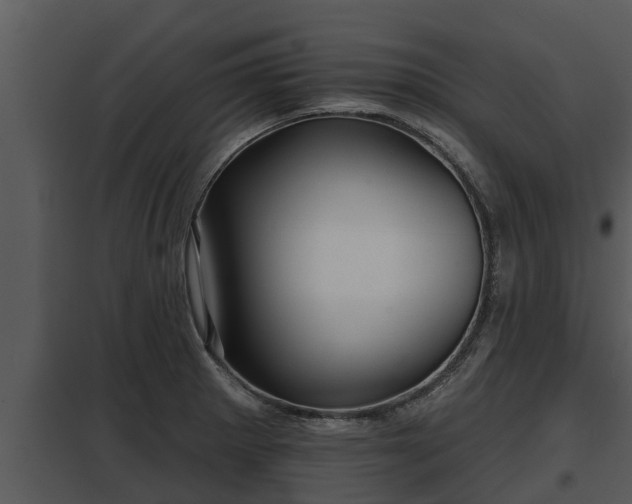 X0000097951281200804011626