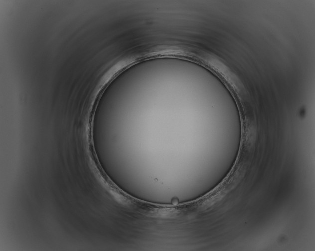 X0000097951282200804011626