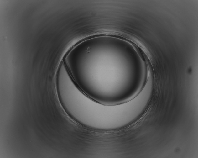 X0000097951283200804011626