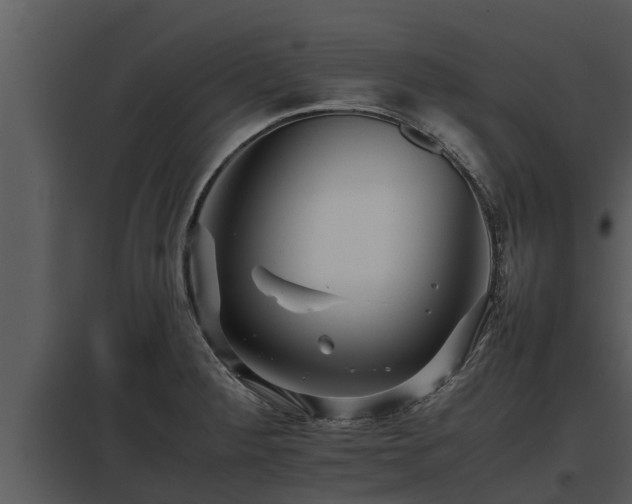 X0000097951284200804011626