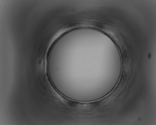 X0000097951286200804011626
