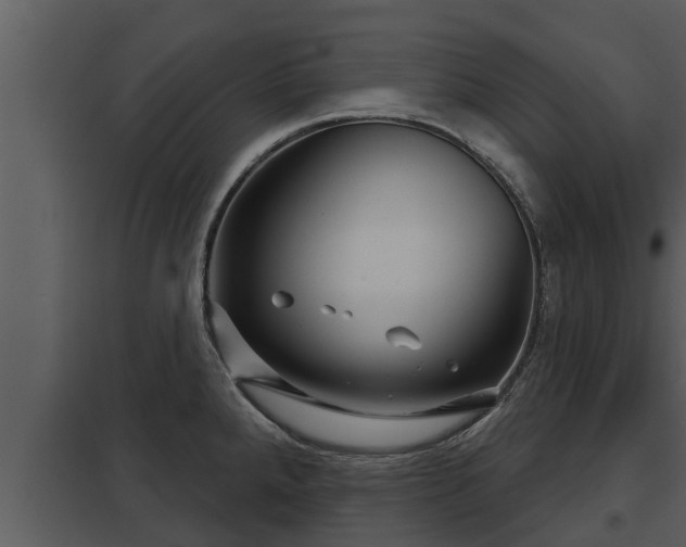 X0000097951288200804011626