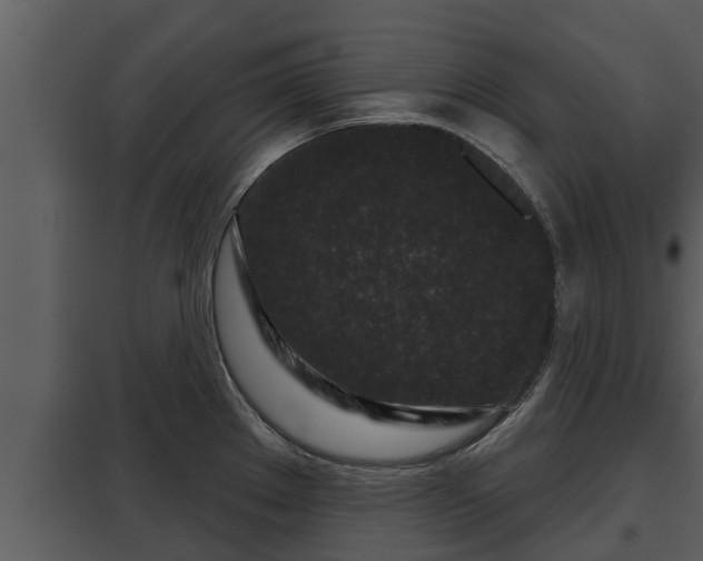 X0000097951289200804011626