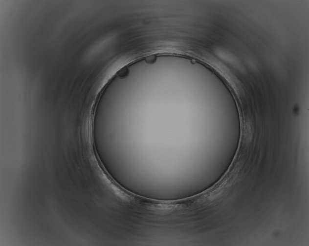 X0000097951290200804011626