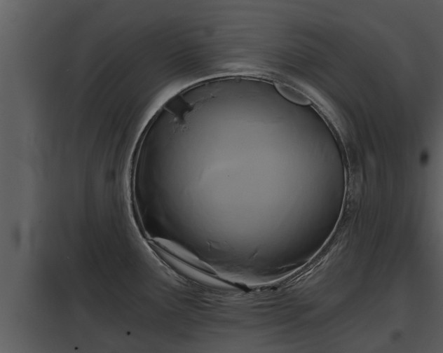 X0000097951291200804011626