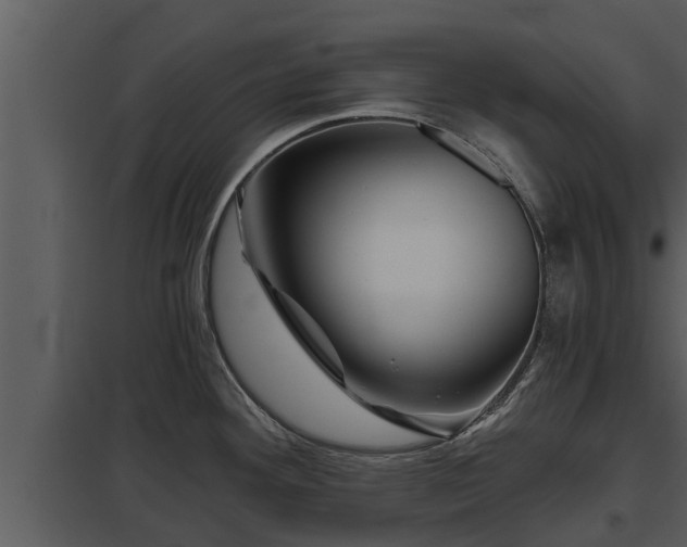 X0000097951292200804011626