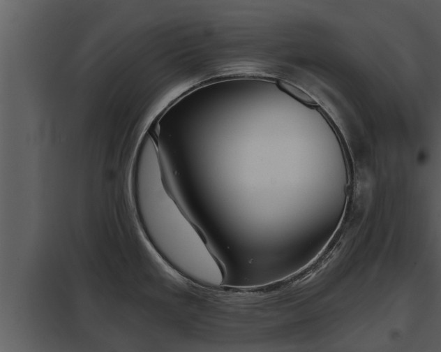 X0000097951293200804011626