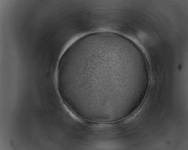 X0000097951294200804011626