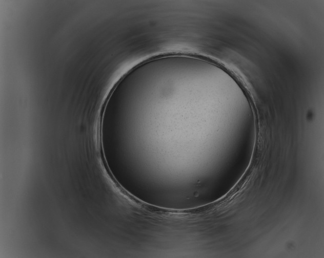 X0000097951295200804011626
