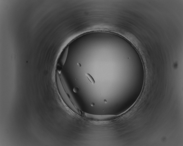 X0000097951296200804011626