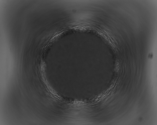 X0000097951297200804011625