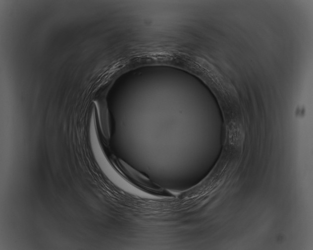 X0000097951298200804011625