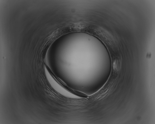 X0000097951299200804011625