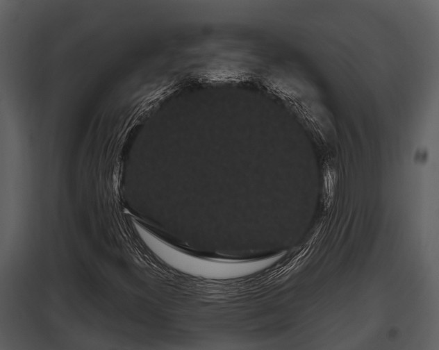 X0000097951300200804011625