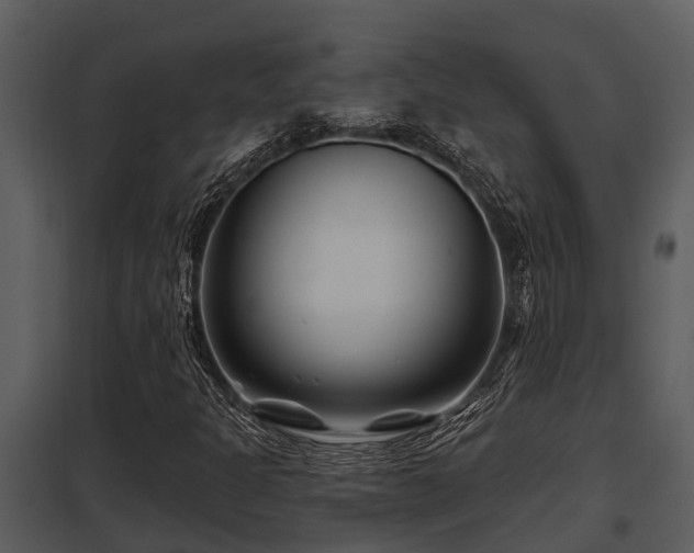 X0000097951301200804011625