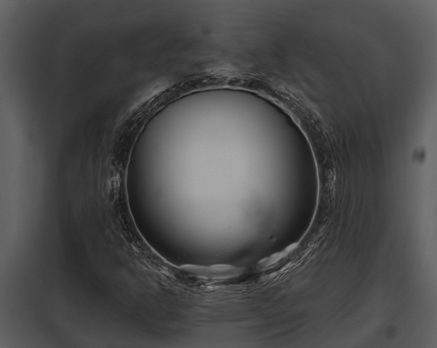 X0000097951302200804011625